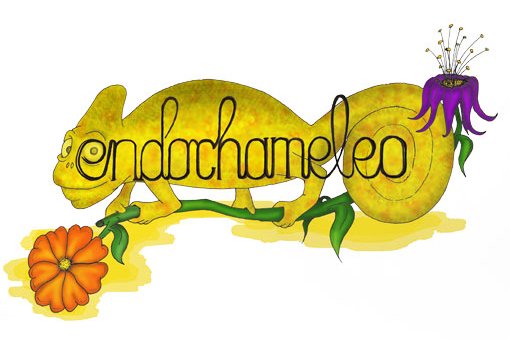 Logo Endochameleo